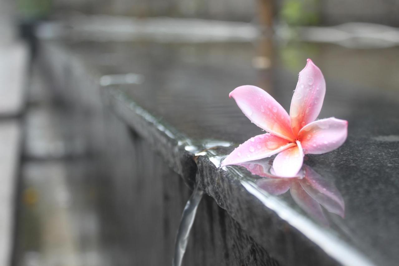 Morning Bali Bungalow Canggu Exterior foto